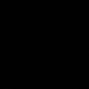 Meet your Posher, Brady